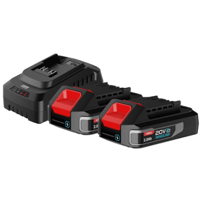 Комплект аккумуляторных батарей и зарядного устройства Deli RS EDE-CM20A2E, 2 АКБ, 2 А/ч, З/У 2А