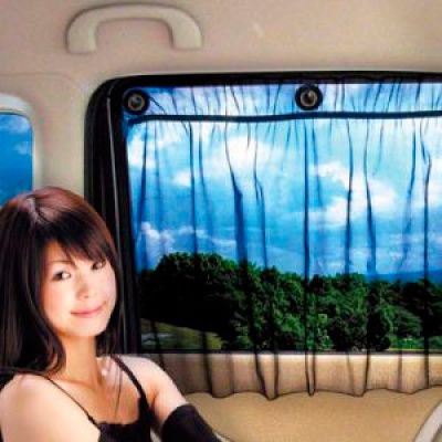 Штора солнцезащитная AK-002 52*53см 2шт KING