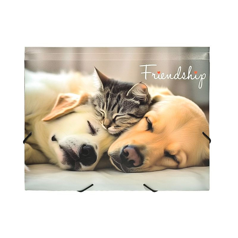 Папка на резинках "Friendship", пластик, 15 мм