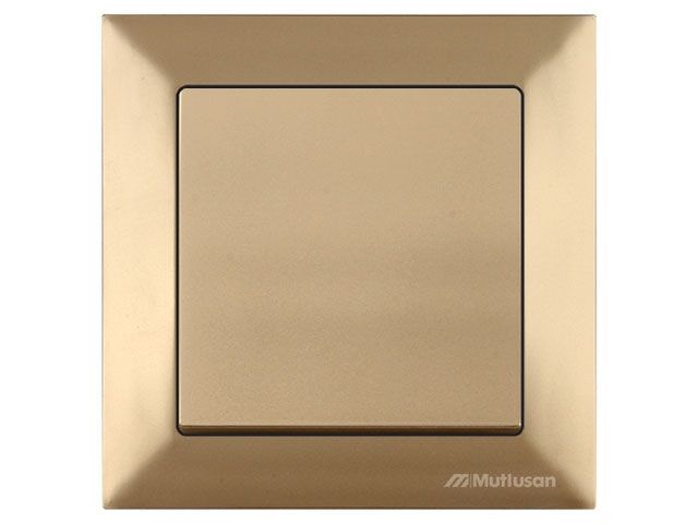 Выключатель 1-клав. двухполюсный, скрытый, винт. зажим, золото, DARIA, 10 A, 250 V, IP 20, Mutlusan 21204050280