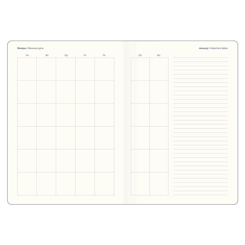 Ежедневник недатированный InFolio "Care", A5, 192 страницы, линованный, коричневый