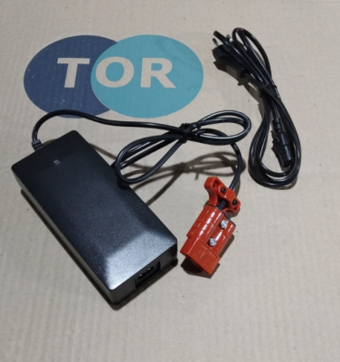 Зарядное устройство для тележек PPT/EPT18-20H 48V/2A (Charger) TOR 1011264