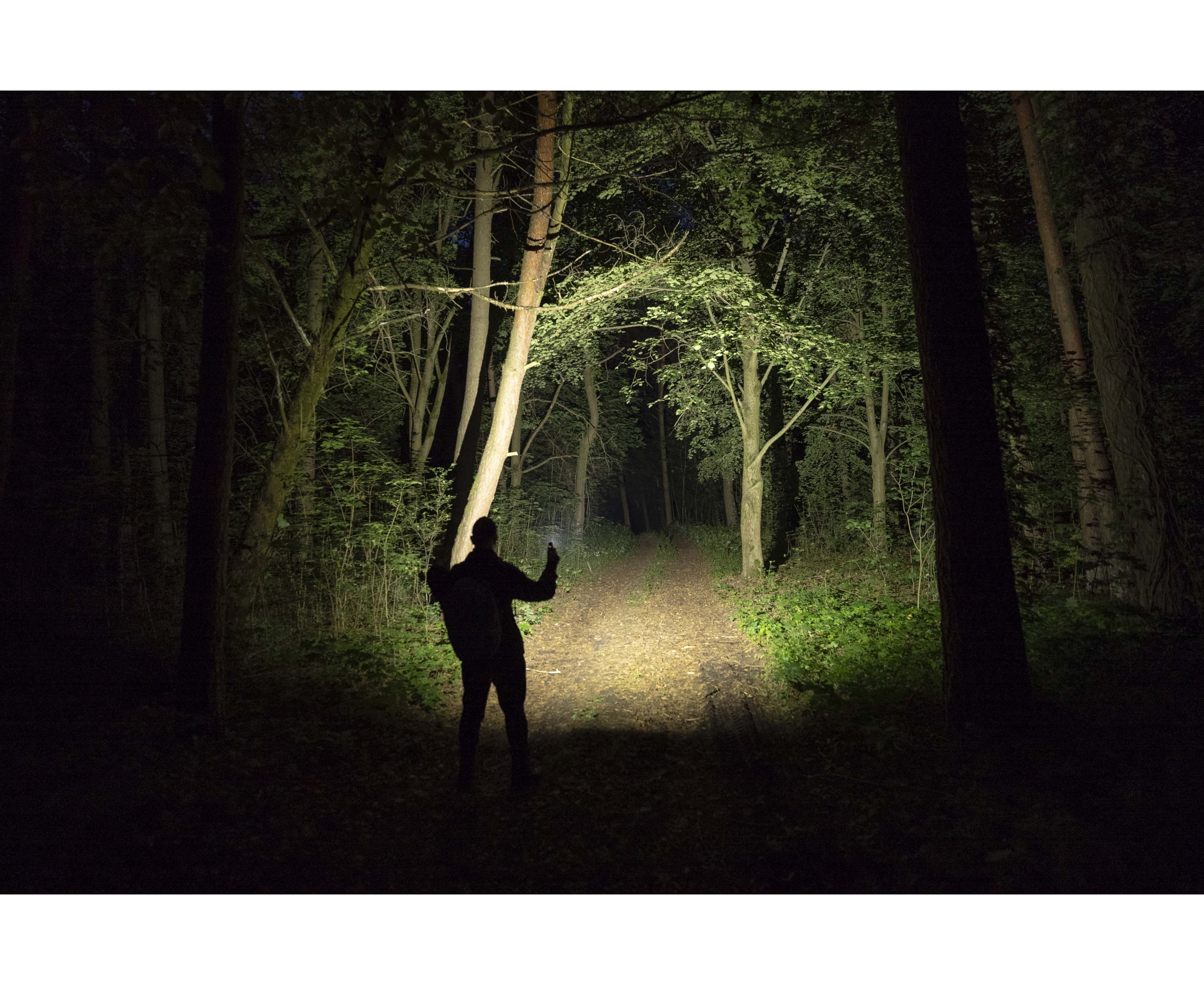 Фонарь Elf C2 Max USB-C Белый Armytek F10701C