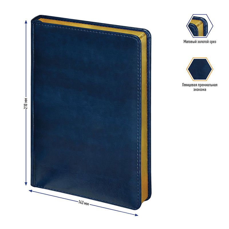 Ежедневник недатированный "xGold", А5, 320 страниц, синий