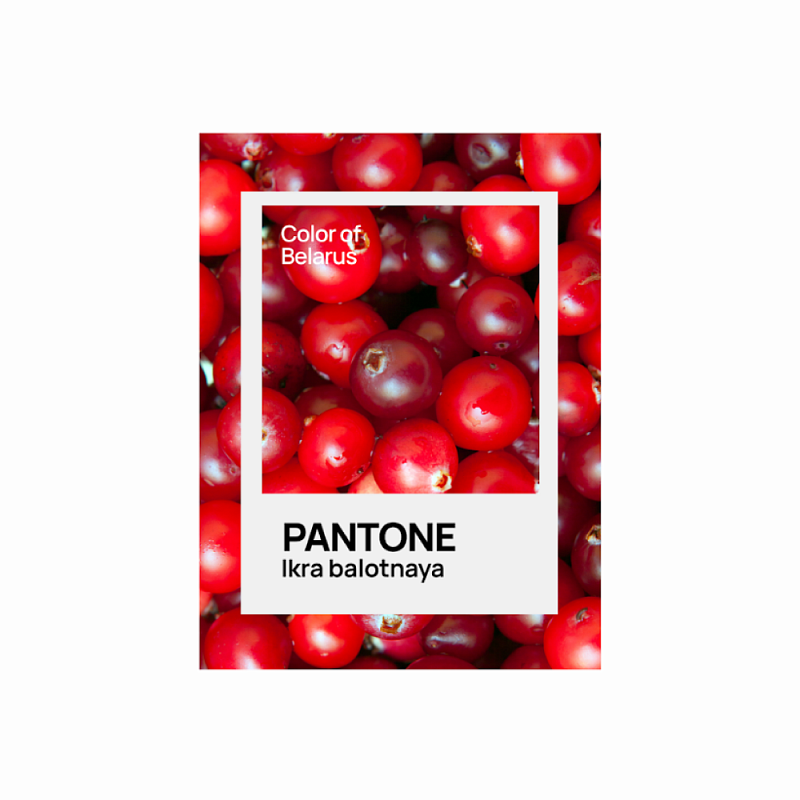 Кружка керамическая "Color of Belarus. Pantone Ikra balotnaya", 330 мл, белый