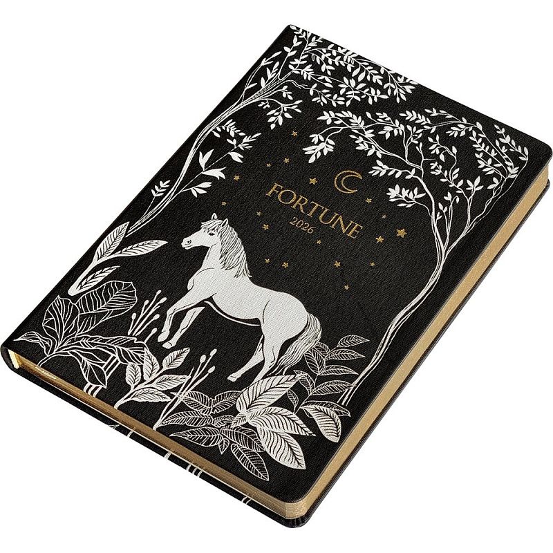 Ежедневник датированный "Fortune" на 2026 год, А5, черный