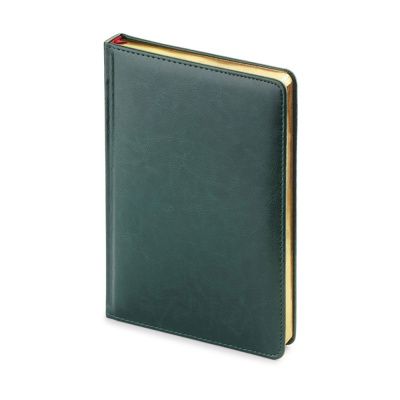 Ежедневник недатированный "Sidney Nebraska", А5, 272 страницы, зеленый