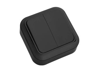 Выключатель 2 клав. (открытый 6А) черный Пралеска Bylectrica А56-134чер