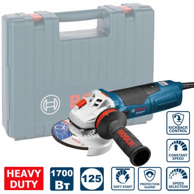 Угловая шлифмашина Bosch GWS 17-125 CIE (060179H002)