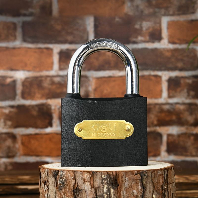 Замок навесной Deli 508909, 75 мм