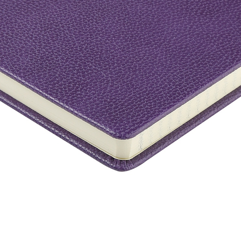 Ежедневник недатированный "Loft", А5, 272 страницы, фиолетовый