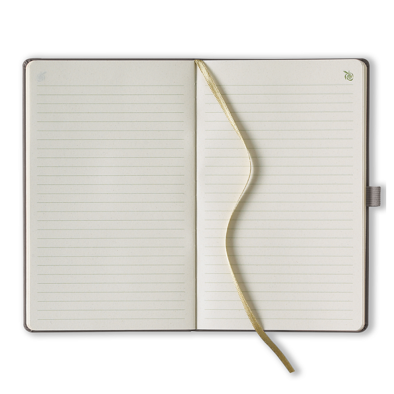 Блокнот "Appeel classic golden", А5, 96 листов, линейка, золотой