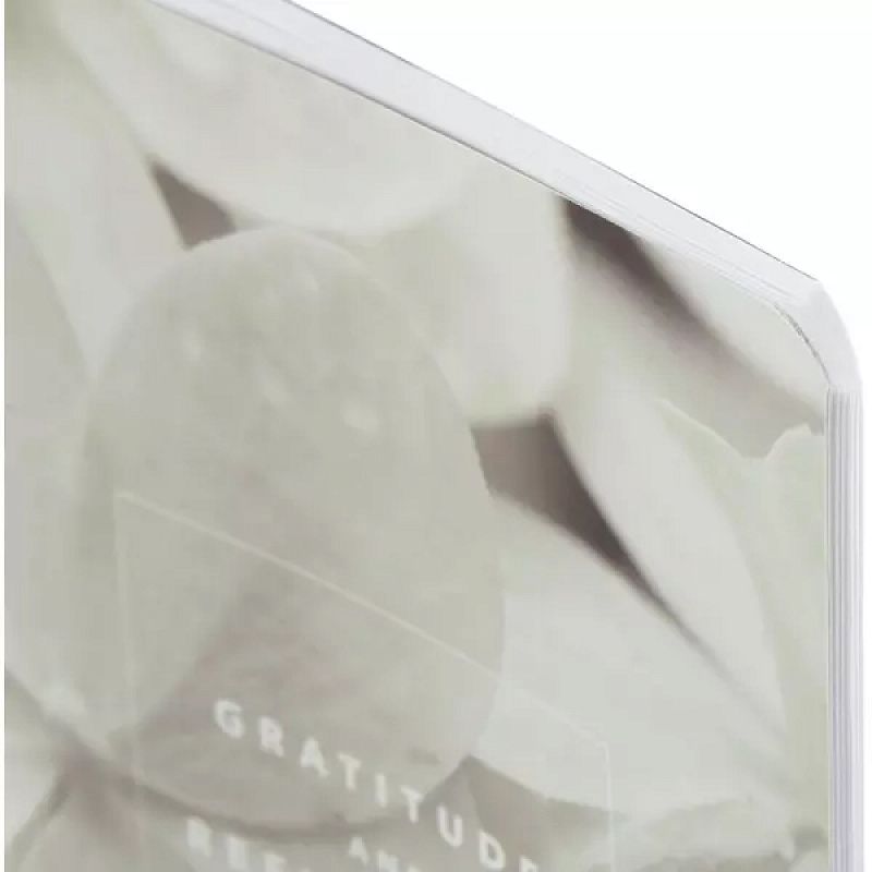 Блокнот "Botanica гортензия", А5, 48 листов, в линейку, черный