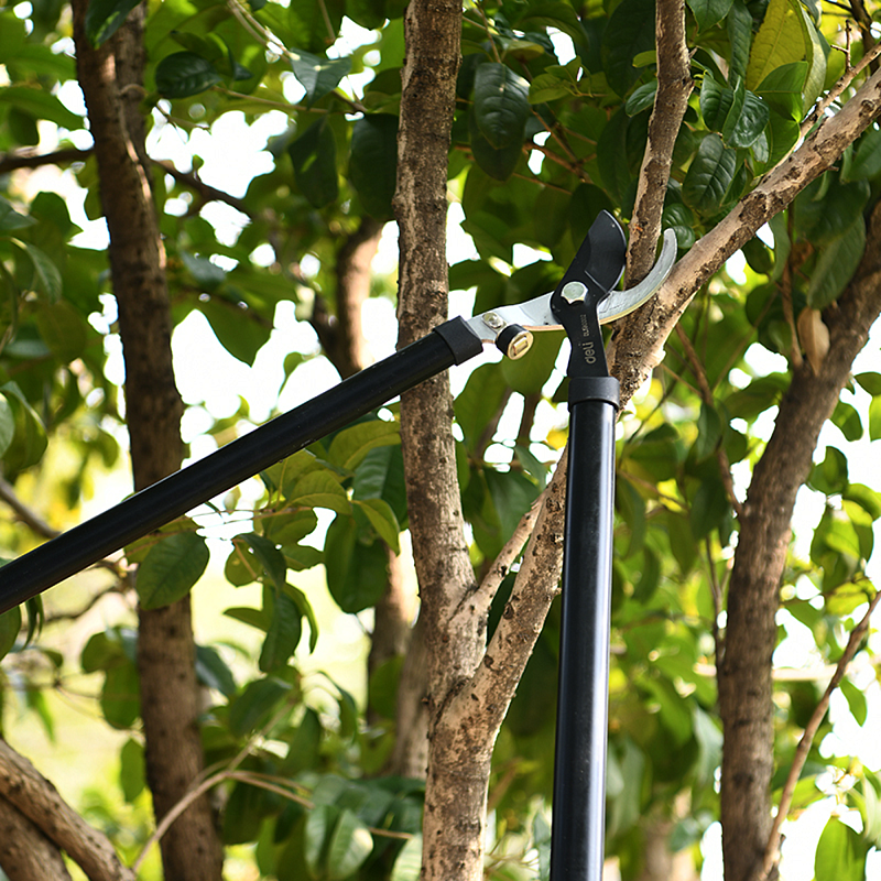 Набор садовых инструментов Deli GS EDL580002, 2 шт.