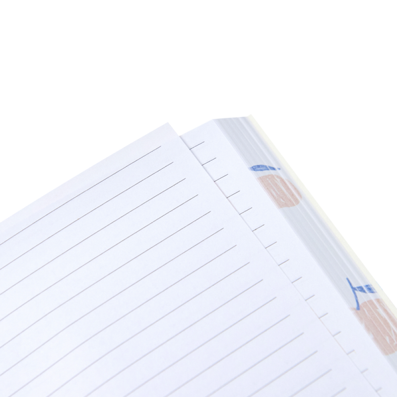 Блокнот "45496", А5, 96 листов, разноцветный