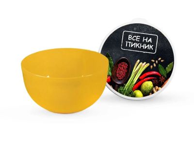 Миска с крышкой "ВСЕ НА ПИКНИК" 0,6л Полимербыт 4359411