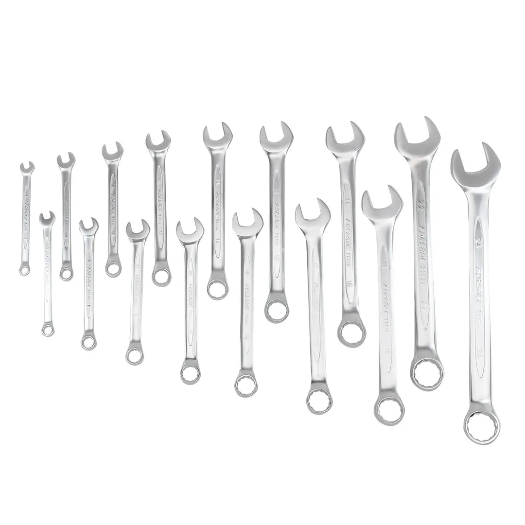 Набор ключей комбинированных 16 пр., 6-19, 22, 24 мм Forsage F-T5161