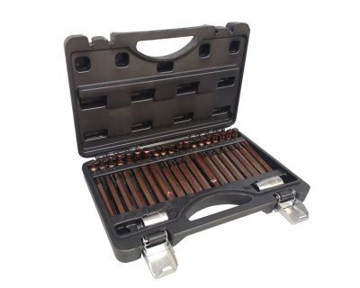 Набор бит Premium Torx, Нex, Ribe с битодержателями 40 пр. 10 мм. RockForce RF-4401D