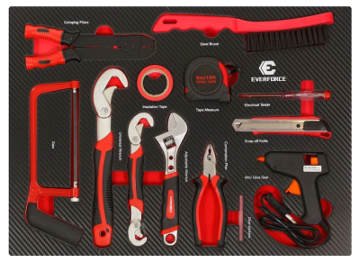 Набор инструментов 13 пр в ложементе EVERFORCE EF-21036