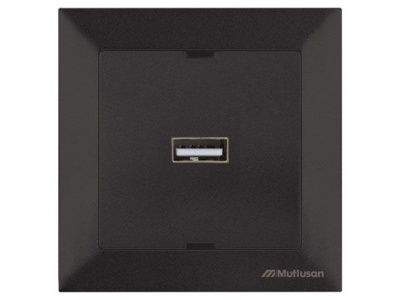 Розетка 1-ая USB (скрытая) черная, DARIA, Mutlusan 21204480184