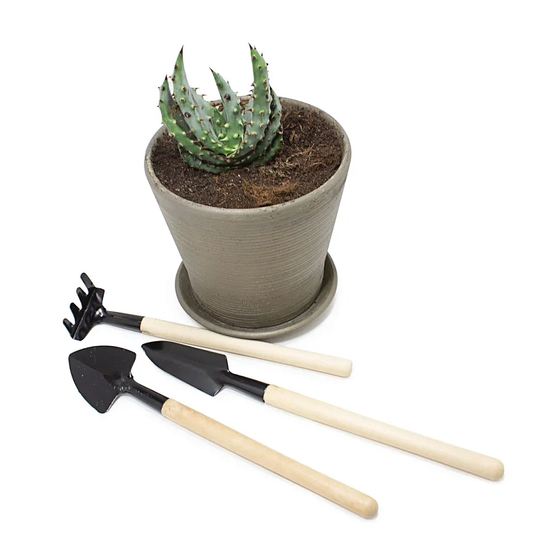 Набор садового инструмента "мини" для рассады 2 пр WMC TOOLS WMC-TG2106006