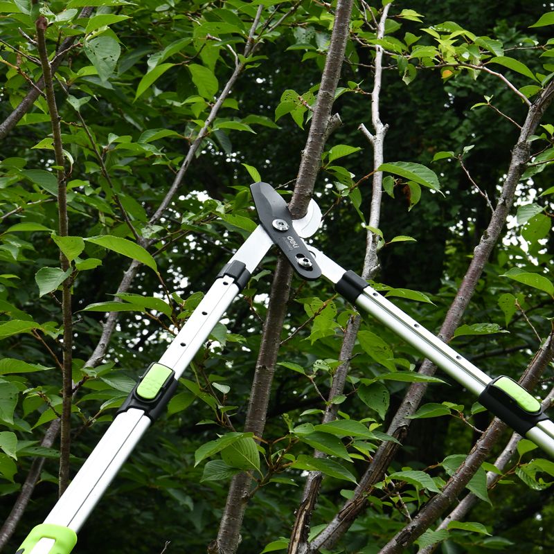 Секатор садовый "Deli", 630-870 мм, телескопический, черный, зеленый