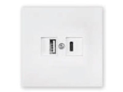 Розетка с двумя USB-разъемами, скрытая, узел белая, Carre Bylectrica РП5-6662