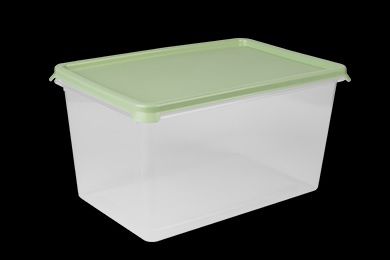 Контейнер Freshpak 4 л (чайное дерево) BEROSSI ИК 97762000