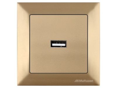 Розетка 1-ая USB (скрытая) золото, DARIA, Mutlusan 21204480180