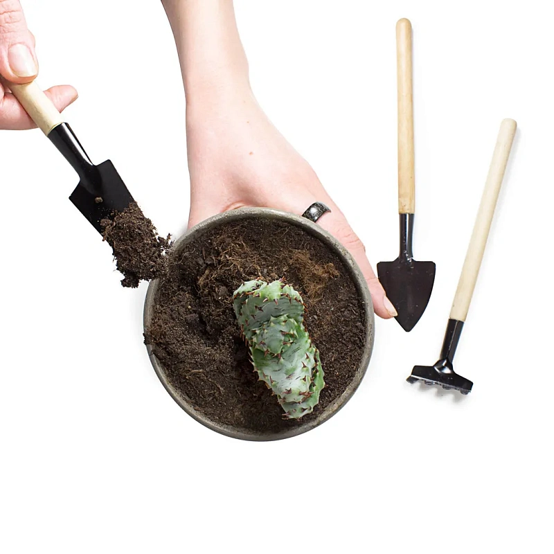 Набор садового инструмента "мини" для рассады 2 пр WMC TOOLS WMC-TG2106006