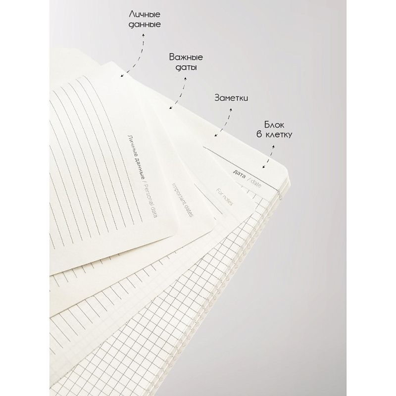 Книга записная InFolio "Lifestyle", A5, 96 листов, клетка, лиловый