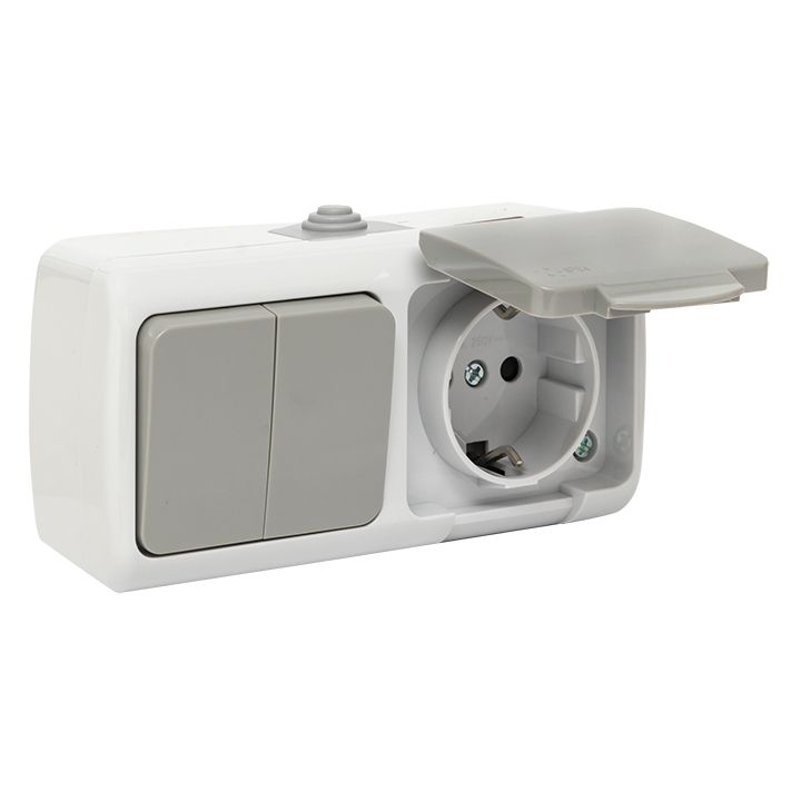 Мурманск Блок розетка 1-м 16А с заземлением с крышкой + 2-кл выключатель IP54 серый EKF EFRV16-052-30-540