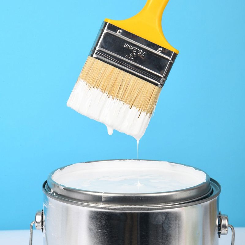 Кисть малярная Deli EDL509113, плоская, 3