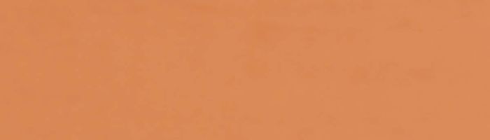 Кромка ПВХ терра лосось, 733, 22/2,0мм, бух.-0,1пог.км., EL-MECH-PLAST 101563