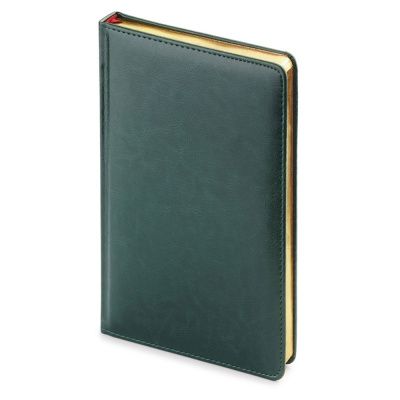 Ежедневник недатированный "Sidney Nebraska", A4, 272 страницы, зеленый