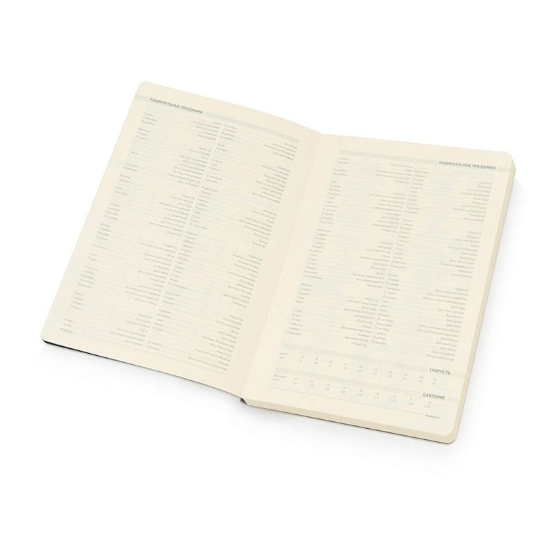 Ежедневник недатированный "Megapolis Flex", А5, 272 страницы, серебристый