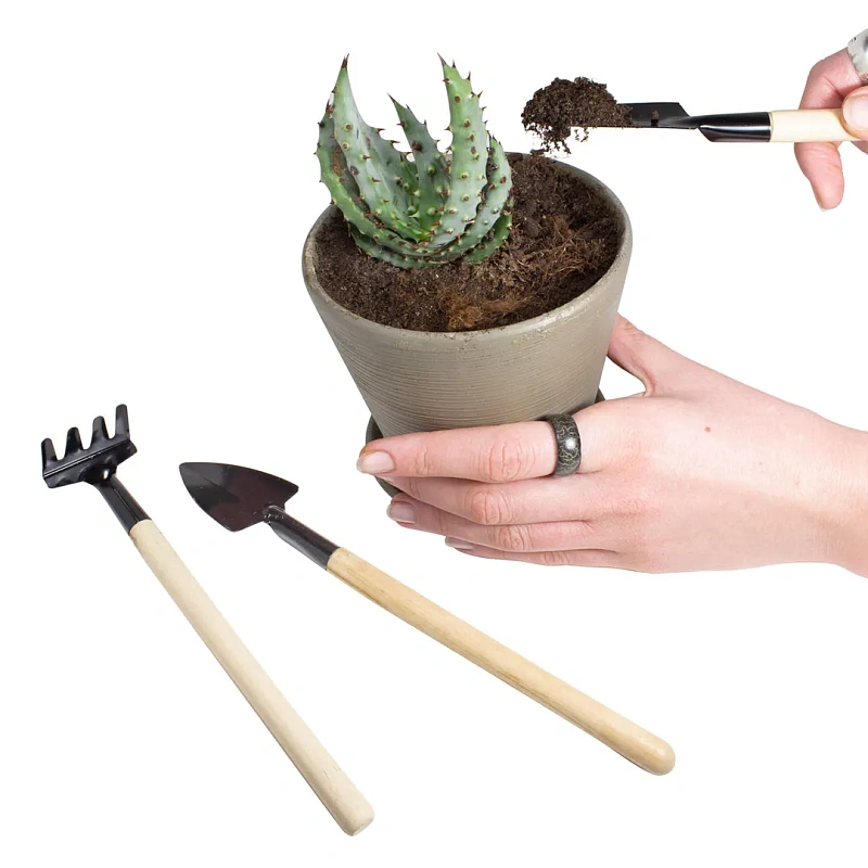 Набор садового инструмента "мини" для рассады 2 пр WMC TOOLS WMC-TG2106006