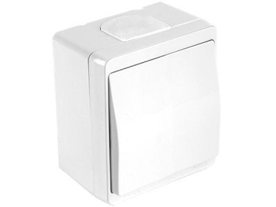 Выключатель двухполюсный (открытый) белый, NEMLIYER, (10 A, 250 V, IP 44) Mutlusan 21500050101