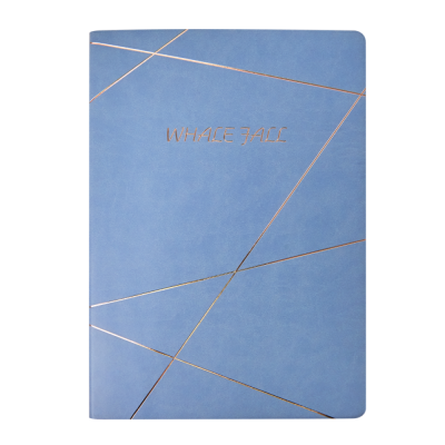 Блокнот "20D076", А4, 96 листов, голубой