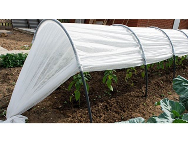 Парник ''Фазенда Люкс'' 8м, ОСТРОВ КОМФОРТА (длина: 8 м, ширина: 60-90 см, высота: 90-60 см)