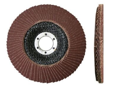 Круг лепестковый 125х22.23 мм мм А24 плоский КЛТ1 LUGAABRASIV 4603347338018