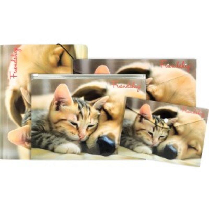 Папка-конверт на кнопке "Friendship", А5,  разноцветный