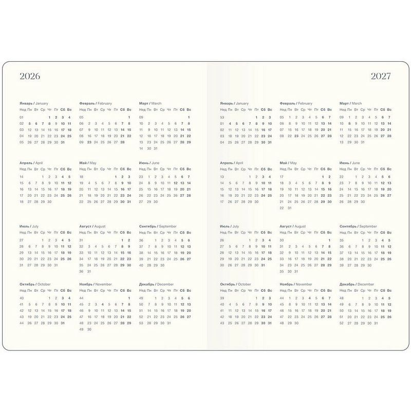 Ежедневник датированный "Fortune" на 2026 год, А5, черный