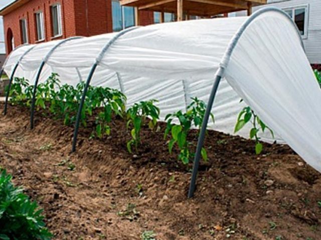 Парник ''Бабушкин парничок'' 8м, ОСТРОВ КОМФОРТА (длина: 8 м, ширина: 50 см, высота: 70 см)