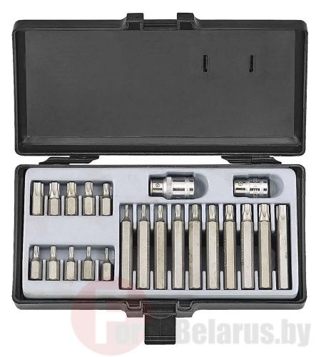 Набор бит TorxTR (с отверстием) T10H-T55H 22 пр. 10 мм Force 4222