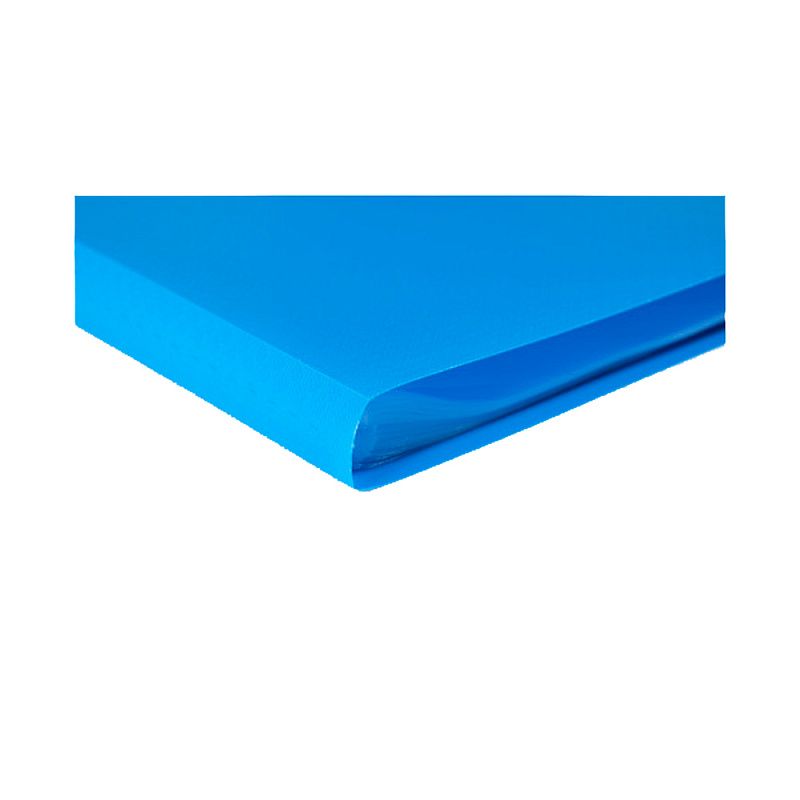 Папка c файлами "Exacompta", 40 карманов, ассорти