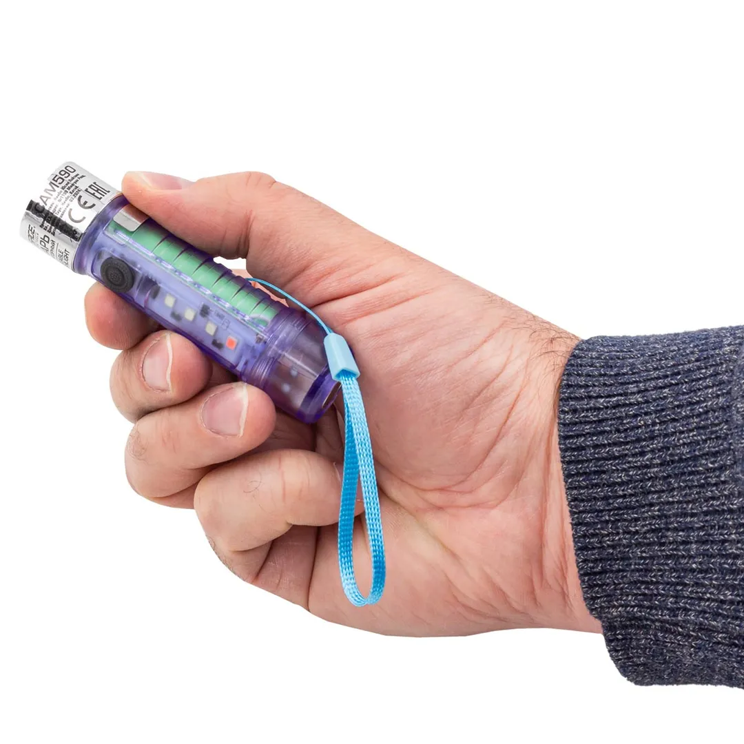 Фонарь аккумуляторный 500мАч, 100лм Forsage F-CAM590