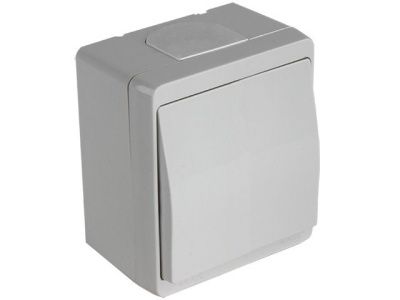 Выключатель 1-клав. (открытый) серый, NEMLIYER, (10 A, 250 V, IP 44) Mutlusan 21500010103