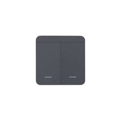 Выключатель беспроводной, с реле, 2 клавиши, графит, AKS 124646