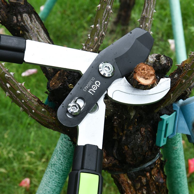 Секатор садовый "Deli", 630-870 мм, телескопический, черный, зеленый